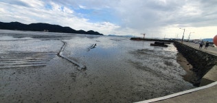 저글링 블러드 실사판 - 오픈이슈갤러리 - 인벤 저글링 블러드 실사판