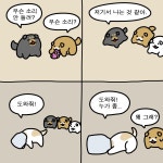 웹진 인벤 : 순진한 시골강아지 누멍이 - 오픈이슈갤러리 순진한 시골강아지 누멍이