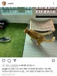 메이플스토리 인벤 : 캣휠 지키는 고양이 - 메이플스토리 인벤 자유게시판 (구) 캣휠 지키는 고양이