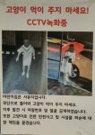 메이플스토리 인벤 : 어린이집까지 침투한 캣맘 - 메이플스토리 인벤 자유게시판