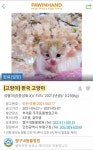 리그오브레전드 인벤 : 동물 ㄹㅇ로 사랑하는 동물 병원 - LoL/e스포츠 이야기 게시판