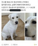 메이플스토리 인벤 : ??? : 그래, 이게 야스지. 어휴, 쩝쩝 - 메이플스토리 인벤 자유게시판 (구) ??? : 그래, 이게 야스지. 어휴, 쩝쩝