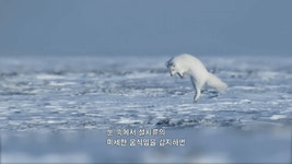 웹진 인벤 : 여우사냥법 - 오픈이슈갤러리 여우사냥법