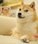 메이플스토리 인벤 : 화성 갈끄니까 - 메이플스토리 인벤 자유게시판 (구) 화성 갈끄니까