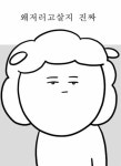 메이플스토리 인벤 : 본인갈때쯤이면 통일이라 군대안간다고? - 메이플스토리 인벤 자유게시판