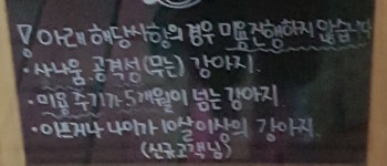 메이플스토리 인벤 : 지나가다 애견미용샵에서 본 건데 의문이 생김 - 메이플스토리 인벤 자유게시판