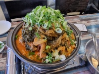 로스트아크 인벤 : 합격이다 - 로스트아크 인벤 이슈/토론/버그 게시판