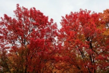 오버워치2 인벤 : 가을.jpg - 오버워치2 인벤 자유게시판 가을.jpg