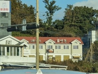 메이플스토리 인벤 : 오 연돈 실물 처음봄 - 메이플스토리 인벤 자유게시판