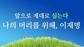 메이플스토리 인벤 : 정떡?) 탈모갤 근황 - 메이플스토리 인벤 자유게시판