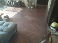 메이플스토리 인벤 : 화장실 갔다왔는데 이게 뭐얔ㅋㅋ - 메이플스토리 인벤 자유게시판