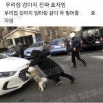 메이플스토리 인벤 : 효견 ㅋㅋㅋㅋㅋㅋ - 메이플스토리 인벤 자유게시판