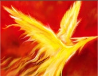 디아블로2: 레저렉션 인벤 : 자룬먹고 불사조 직작 가즈아!! - 디아블로2 인벤 자유 게시판 자룬먹고 불사조 직작 가즈아!!