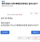 돼지국밥이 진짜 뼈해장국한테도 밀리나요?? jpg - 오픈이슈갤러리 - 인벤 돼지국밥이 진짜 뼈해장국한테도 밀리나요?? jpg - 오픈이슈갤러리