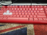 마비노기영웅전 인벤 : 일 년 만에 연어가 되었어요 - 마영전 인벤 자유 게시판 일 년 만에 연어가 되었어요