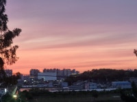 메이플스토리 인벤 : 오늘짱옙버 - 메이플스토리 인벤 자유게시판