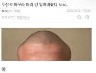 메이플스토리 인벤 : 다오 실존설.jpg - 메이플스토리 인벤 자유게시판 (구) 다오 실존설.jpg