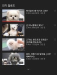 메이플스토리 인벤 : 왜 난 가위컷 안됨? - 메이플스토리 인벤 자유게시판