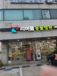 메이플스토리 인벤 : 어떻게 동물병원 이름이... - 메이플스토리 인벤 자유게시판 (구) 어떻게 동물병원 이름이...
