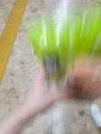 메이플스토리 인벤 : 오 메빵 첨봤당 - 메이플스토리 인벤 자유게시판