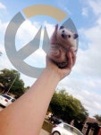 오버워치2 인벤 : 따봉옵치야 고마워!!!!!!!!!!! - 오버워치2 인벤 자유게시판 따봉옵치야 고마워!!!!!!!!!!!
