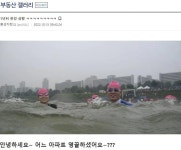 웹진 인벤 : 1년 뒤 한강 상황 - 오픈이슈갤러리 1년 뒤 한강 상황
