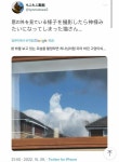 웹진 인벤 : 창문에 비친 고양이를 찍어보았다. - 오픈이슈갤러리 창문에 비친 고양이를 찍어보았다.