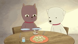 메이플스토리 인벤 : 싸우지말고 힐링 강아지 고양이짤 보고가라.JPG - 메이플스토리 인벤 자유게시판 싸우지말고 힐링 강아지 고양이짤... 