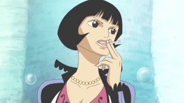 오늘은 샤키의 생일입니다. | 메이플 인벤