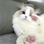 로스트아크 인벤 : ㅇㅎ) 기공사님들 이상한 일을 경험했습니다. - 로스트아크 인벤 기공사 게시판 ㅇㅎ) 기공사님들 이상한 일을 경험했습니다.