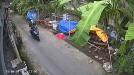 흔한 닭도둑 - 오픈이슈갤러리 - 인벤 흔한 닭도둑