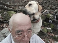 웹진 인벤 : 강아지가 하루종일 여배우의 발을 핥핥한 이유. - 오픈이슈갤러리 강아지가 하루종일 여배우의 발을 핥핥한 이유.