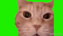 ㅅㅂ 깜빡하고 결정석 한번 안팔아서 1주일씩 밀림 | 메이플 인벤