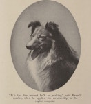 Robert Bruce MacMurray, the Horse-Saving Fire Dog of the FDNY - Neatorama Robert Bruce MacMurray, the Horse-Saving Fire Dog of... 