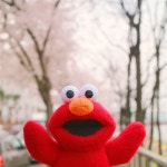 마시쩡(youi1212) | 스타일쉐어 마시쩡