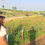 임채영(codud95)님의 스타일       | 겸겸이 프린팅흰티샤츠+갈색린넨통바지 💕 통바지는 첨입어보는데 숏다리효과빼고는 ㅎㅎ아주 좋아좋았당... 