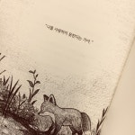 tame(tame_ii)님의 스타일       | 친구 줄려고 샀다가 내가 운 책 ㅠㅠ셤 망치고 완전 우울했는데...힐링😚어린 왕자랑 대화도 할 수 있뚬   