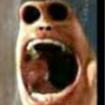 코꾸몽(moona67) | 스타일쉐어 코꾸몽