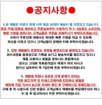 나이키 우먼스 코트로얄 (749867-100) 흰은