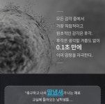 [바디홀릭] 바디미스트 다우트리스 3종