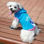 nicedog(nicedog)님의 스타일       | 도그도그 해피팬더 후드 티~!!!우리 천둥이 기분 좋은지 웃네요 ㅎㅎ#멋지개 #강아지옷 #애견옷 #애견  