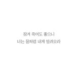 Xiaoquexing(thflgksmfdl)님의 스타일       | #글귀출처 피키캐스트  