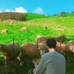 오하이오!(chldmsql00)님의 스타일       | 인생 사진 찍을수 있는곳 알프스 소녀 하이디가 된 느낌 힐링 하고 왔다 #여행 #여행사진 #힐링 #  