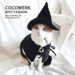 COCOWERK(cocowerk)님의 스타일       | Magic magic magic cat!마법사 고양이다냥~#고양이 #강아지 #코스튬 #할로윈 #Coc  