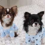 cavecanem_(cavecanem)님의 스타일       | [WHITH BEAR PAJAMAS]너무너무 부드럽고 따뜻한 극세사원단으로 겨울내 실내에서 편하게... 