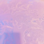 채령킹(ucr6968)님의 스타일       | 이것도 안유명해서 너무 슬픔ㅜㅠㅜ향도은은하고 기분좋아지는 3800원짜리 입욕제!!너무 이뽀다,,,,❤❤