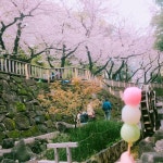 coco(h2332)님의 스타일       | #さくら#  #お団子##お花見#sakura#和  