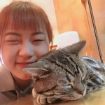 다운(serenity0805)님의 스타일       | #양림동 #펭귄마을 #고양이 카페 #비_안오는 날에_다시_가는걸로  