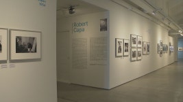 부산경남대표방송 KNN 부산경남 전체