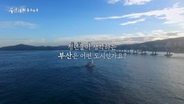부산경남대표방송 KNN 통합검색 부산경남대표방송 KNN